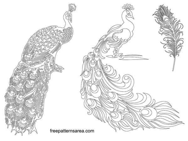 peacock tattoo designs - Clip Art Library